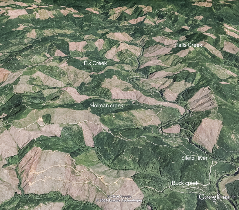 This google earth photo is from the view point looking at the Siletz gorge from the South.